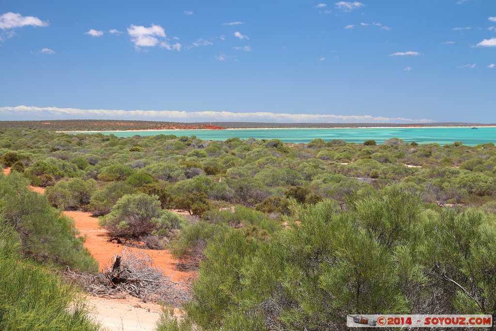 Shark Bay - Monkey Mia - Wulyibidi Yaninyina Trail
Mots-clés: AUS Australie geo:lat=-25.79651262 geo:lon=113.71572958 geotagged Monkey Mia Western Australia patrimoine unesco paysage Wulyibidi Yaninyina Trail