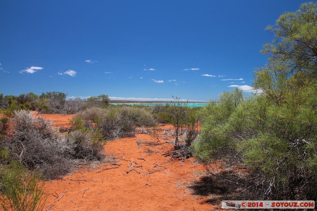 Shark Bay - Monkey Mia - Wulyibidi Yaninyina Trail
Mots-clés: AUS Australie geo:lat=-25.79649212 geo:lon=113.71663433 geotagged Monkey Mia Western Australia patrimoine unesco paysage Wulyibidi Yaninyina Trail