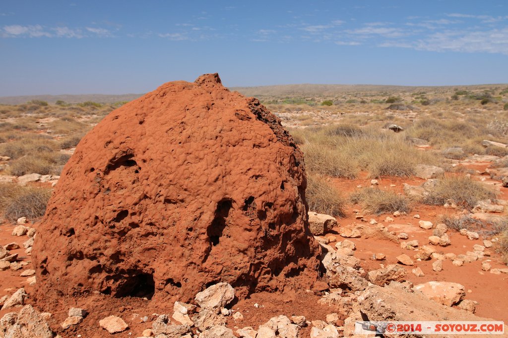 Cap Range National Park - Yardie Creek - Termite mound
Mots-clés: AUS Australie Bundera Bundera geo:lat=-22.32447759 geo:lon=113.81493119 geotagged Western Australia Cap Range Cap Range National Park Yardie Creek