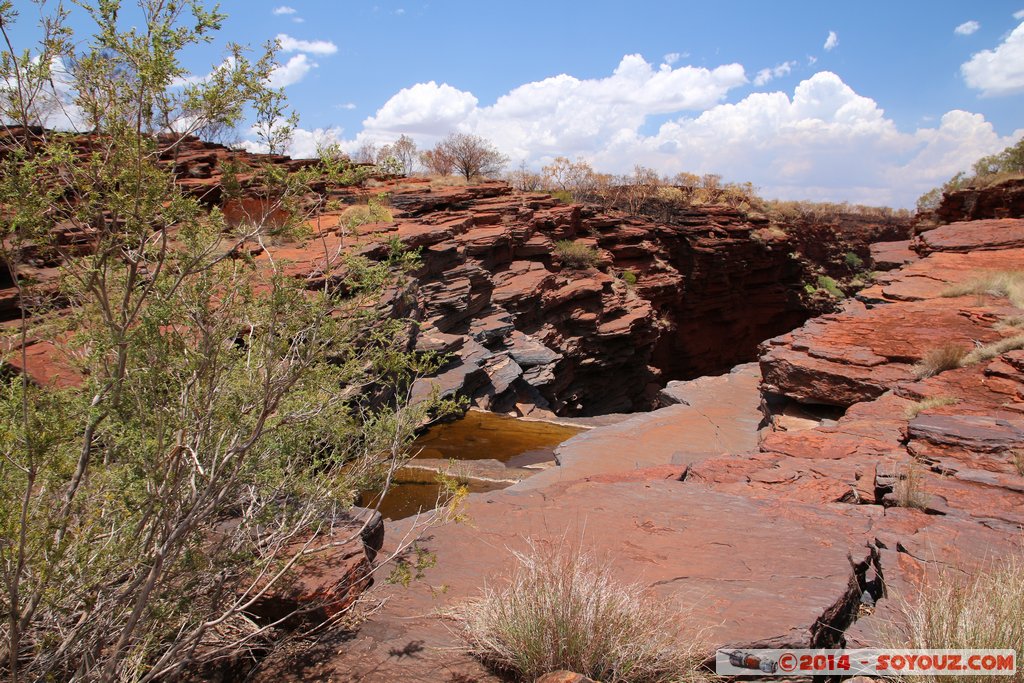 Karijini National Park - Joffre Falls
Mots-clés: AUS Australie geo:lat=-22.39191080 geo:lon=118.26802100 geotagged Paraburdoo Western Australia Wittenoom Karijini National Park Karijini Joffre Falls