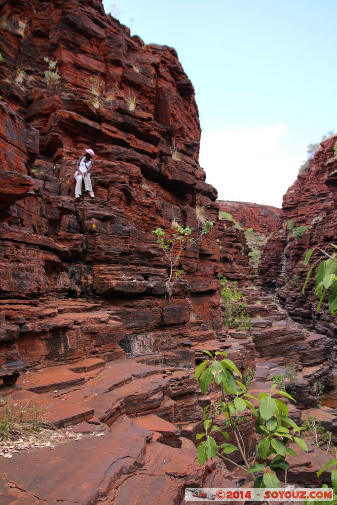 Karijini National Park - Joffre Falls
Mots-clés: AUS Australie geo:lat=-22.39008671 geo:lon=118.26881776 geotagged Paraburdoo Western Australia Wittenoom Karijini National Park Karijini Joffre Falls