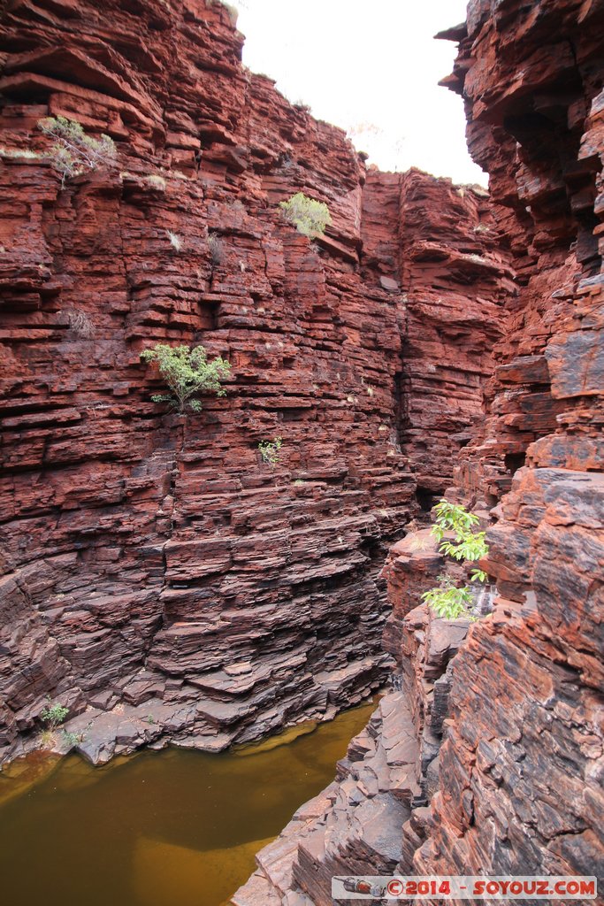 Karijini National Park - Joffre Falls
Mots-clés: AUS Australie geo:lat=-22.39008259 geo:lon=118.26878647 geotagged Paraburdoo Western Australia Wittenoom Karijini National Park Karijini Riviere Joffre Falls