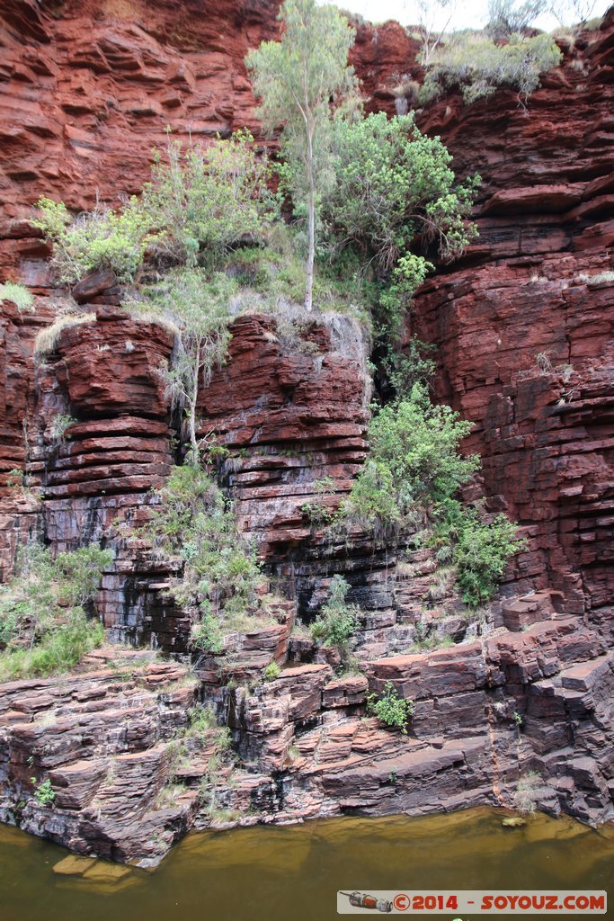 Karijini National Park - Joffre Falls
Mots-clés: AUS Australie geo:lat=-22.39015300 geo:lon=118.26867508 geotagged Paraburdoo Western Australia Wittenoom Karijini National Park Karijini Riviere Joffre Falls