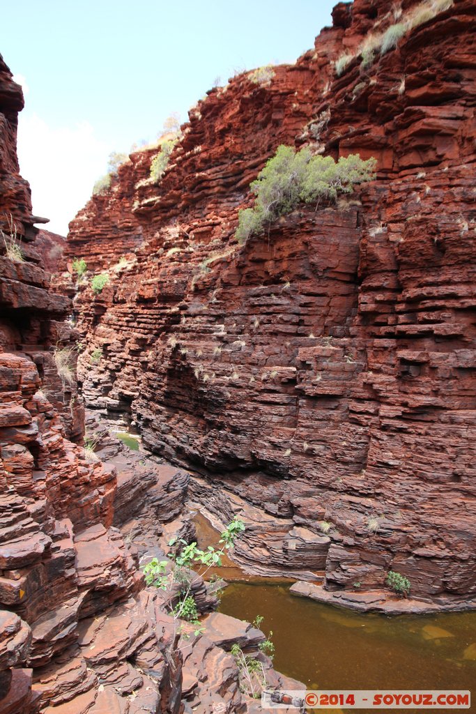 Karijini National Park - Joffre Falls
Mots-clés: AUS Australie geo:lat=-22.39014737 geo:lon=118.26870688 geotagged Paraburdoo Western Australia Wittenoom Karijini National Park Karijini Riviere Joffre Falls