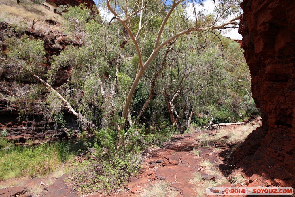 Karijini National Park - Knox Gorge
Mots-clés: AUS Australie geo:lat=-22.37143471 geo:lon=118.29885857 geotagged Paraburdoo Western Australia Wittenoom Karijini National Park Karijini Knox Gorge Arbres