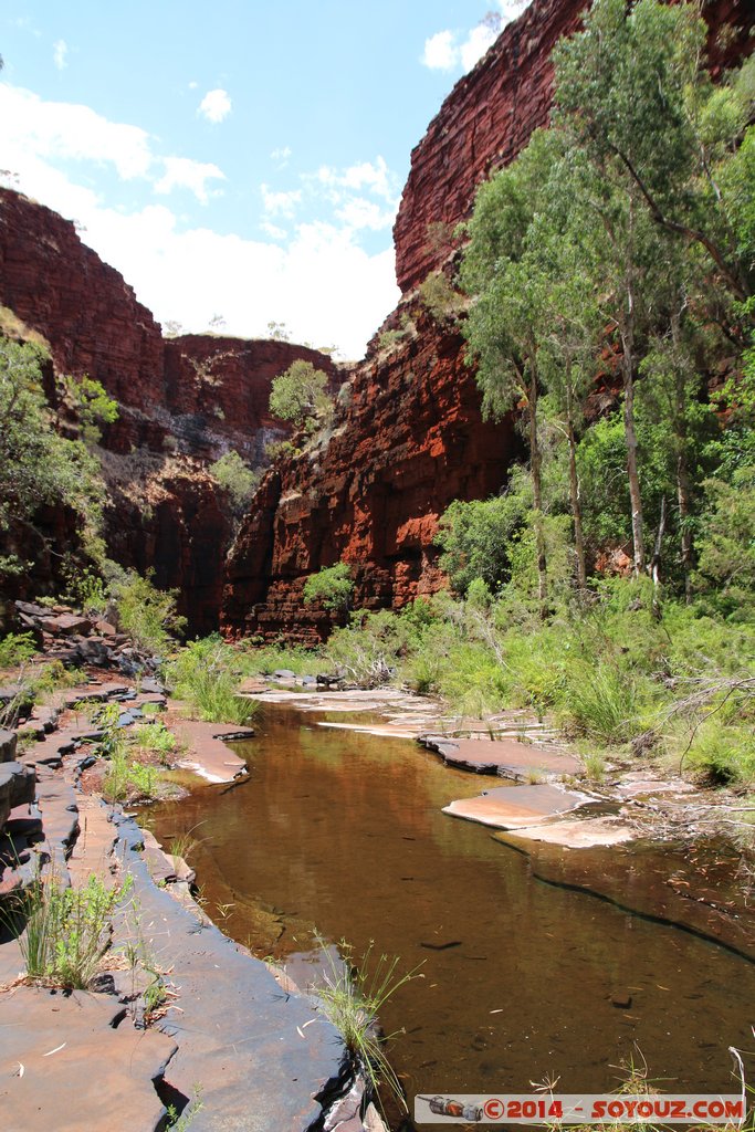 Karijini National Park - Knox Gorge
Mots-clés: AUS Australie geo:lat=-22.37061029 geo:lon=118.29763443 geotagged Paraburdoo Western Australia Wittenoom Karijini National Park Karijini Riviere Knox Gorge Arbres