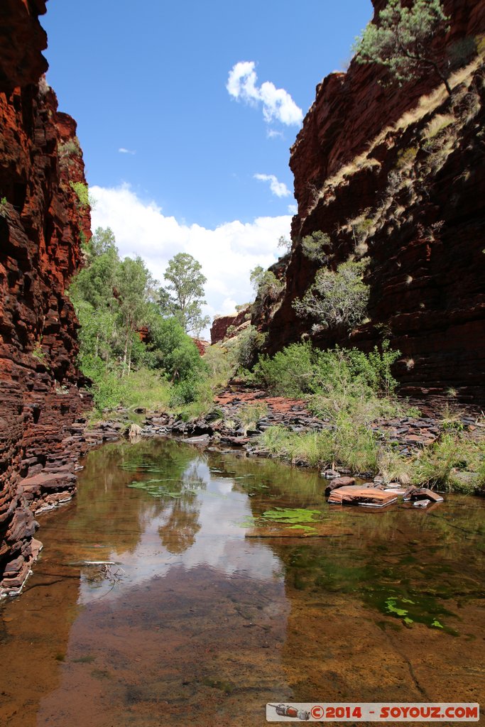 Karijini National Park - Knox Gorge
Mots-clés: AUS Australie geo:lat=-22.36992113 geo:lon=118.29710325 geotagged Paraburdoo Western Australia Wittenoom Karijini National Park Karijini Riviere Knox Gorge