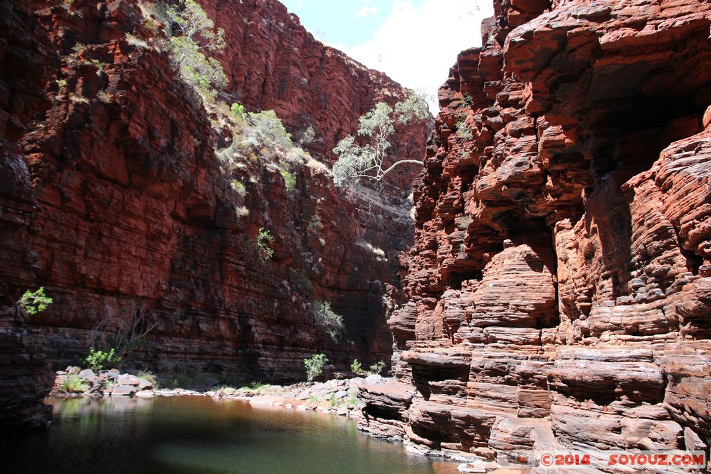 Karijini National Park - Knox Gorge
Mots-clés: AUS Australie geo:lat=-22.37008300 geo:lon=118.29741700 geotagged Paraburdoo Western Australia Wittenoom Karijini National Park Karijini Knox Gorge