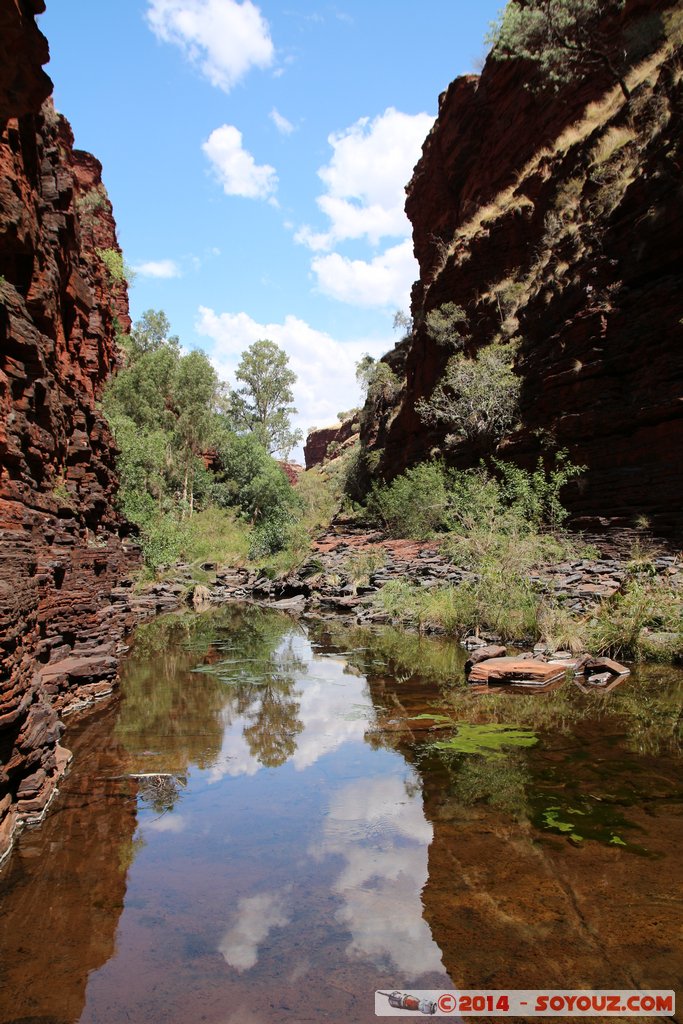 Karijini National Park - Knox Gorge
Mots-clés: AUS Australie geo:lat=-22.37062608 geo:lon=118.29778646 geotagged Paraburdoo Western Australia Wittenoom Karijini National Park Karijini Riviere Knox Gorge