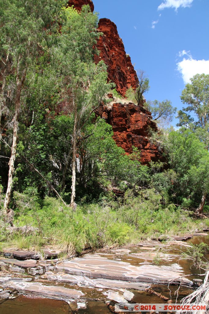 Karijini National Park - Knox Gorge
Mots-clés: AUS Australie geo:lat=-22.37109800 geo:lon=118.29861300 geotagged Paraburdoo Western Australia Wittenoom Karijini National Park Karijini Knox Gorge Arbres