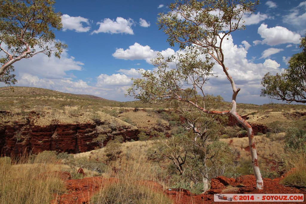 Karijini National Park - Knox Gorge
Mots-clés: AUS Australie geo:lat=-22.37065444 geo:lon=118.29580389 geotagged Paraburdoo Western Australia Wittenoom Karijini National Park Karijini Knox Gorge