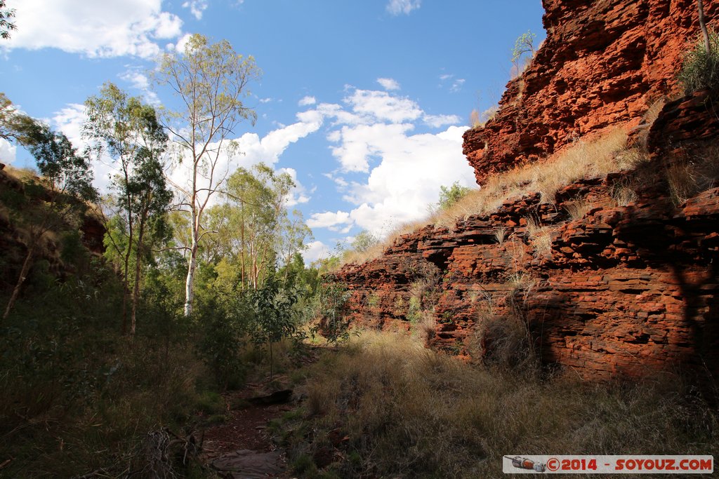 Karijini National Park - Weano Gorge
Mots-clés: AUS Australie geo:lat=-22.35391220 geo:lon=118.28530360 geotagged Paraburdoo Western Australia Wittenoom Karijini National Park Karijini Weano Gorge