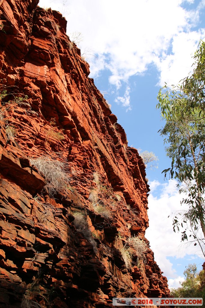 Karijini National Park - Weano Gorge
Mots-clés: AUS Australie geo:lat=-22.35423200 geo:lon=118.28542700 geotagged Paraburdoo Western Australia Wittenoom Karijini National Park Karijini Weano Gorge