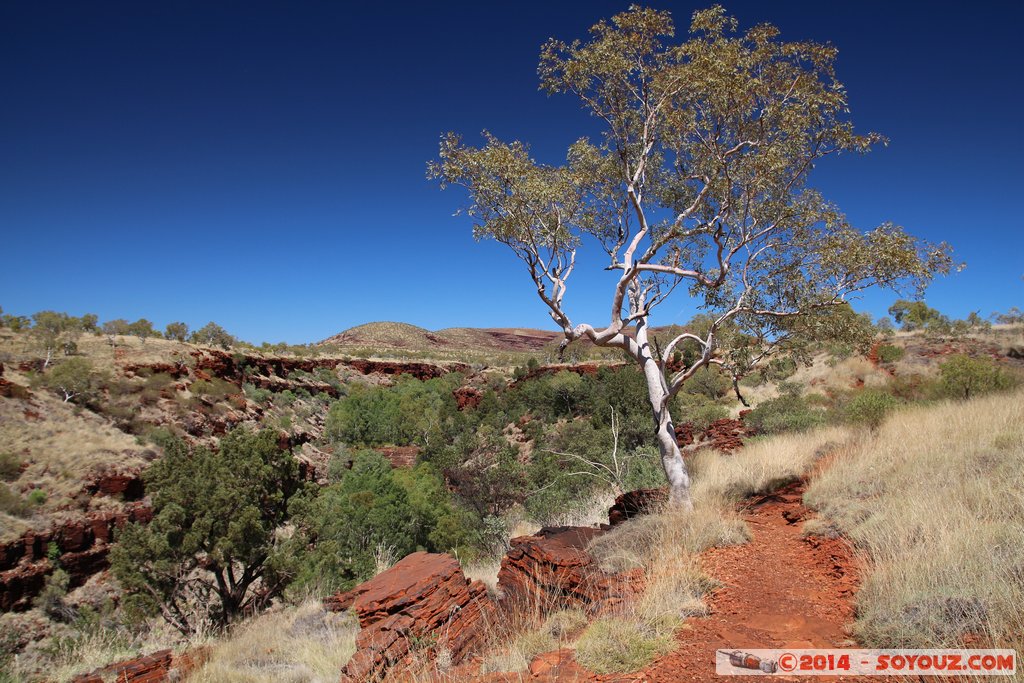 Karijini National Park - Dales Gorges
Mots-clés: AUS Australie geo:lat=-22.47668000 geo:lon=118.55358000 geotagged Wittenoom Western Australia Karijini National Park Karijini Dales Gorges Arbres