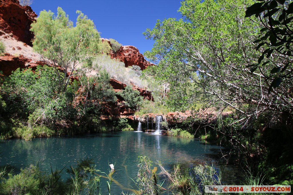 Karijini National Park - Dales Gorges - Fern Pool
Mots-clés: AUS Australie geo:lat=-22.47751624 geo:lon=118.54805410 geotagged Wittenoom Western Australia Karijini National Park Karijini Dales Gorges Fern Pool Lac Arbres