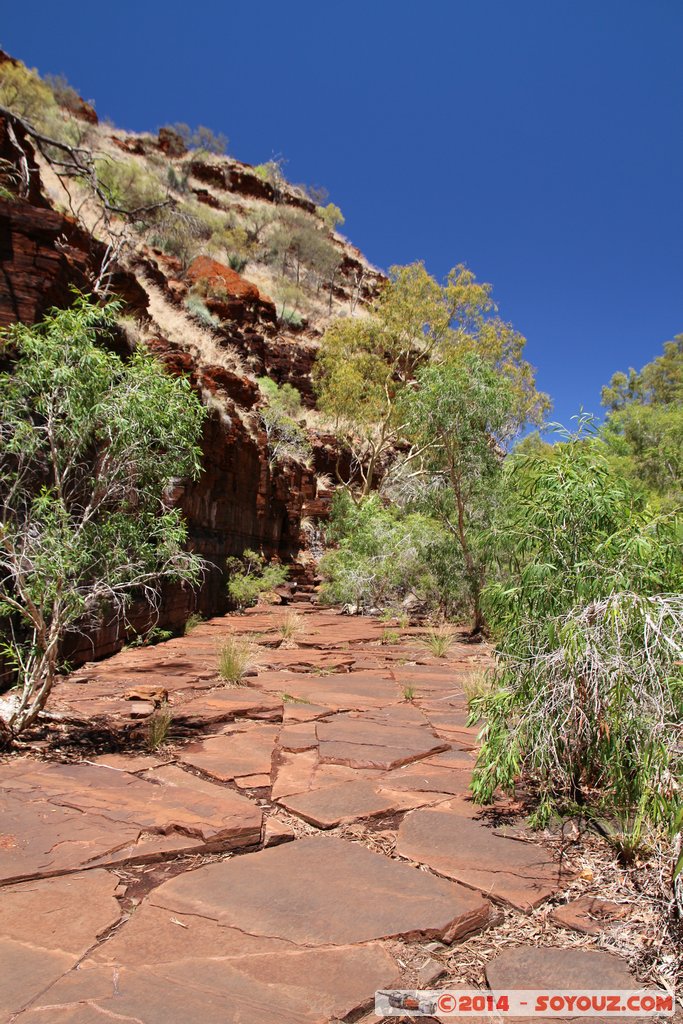 Karijini National Park - Dales Gorges
Mots-clés: AUS Australie geo:lat=-22.47741714 geo:lon=118.55652571 geotagged Wittenoom Western Australia Karijini National Park Karijini Dales Gorges Arbres