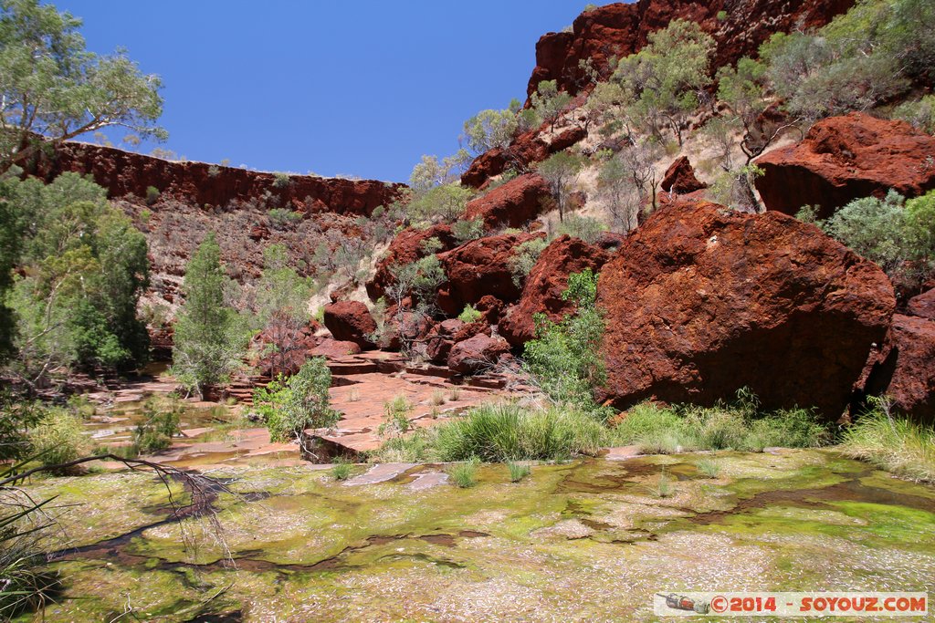 Karijini National Park - Dales Gorges
Mots-clés: AUS Australie geo:lat=-22.47601029 geo:lon=118.56237200 geotagged Wittenoom Western Australia Karijini National Park Karijini Dales Gorges Arbres