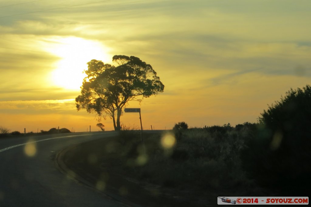 Great Northern Highway - Sunset
Mots-clés: AUS Australie geo:lat=-30.46694067 geo:lon=116.60945533 geotagged Pithara State of Western Australia Route sunset