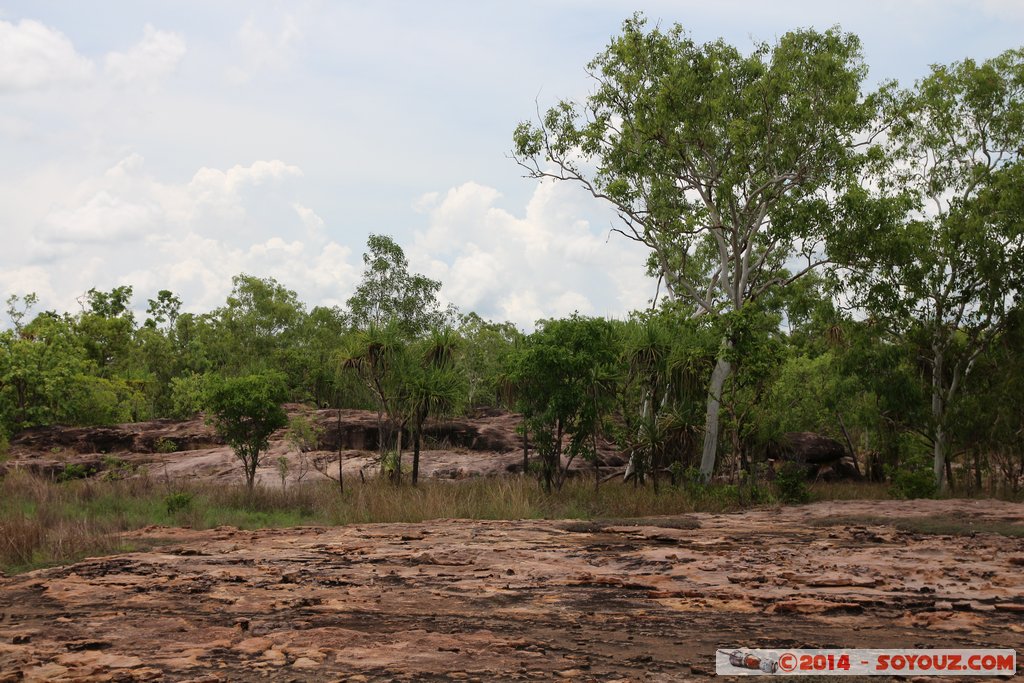 Kakadu National Park - Manngarre Walk
Mots-clés: AUS Australie geo:lat=-12.42281076 geo:lon=132.96552924 geotagged Gunbalanya Northern Territory Kakadu National Park patrimoine unesco East Alligator region Cahills Crossing Manngarre Walk