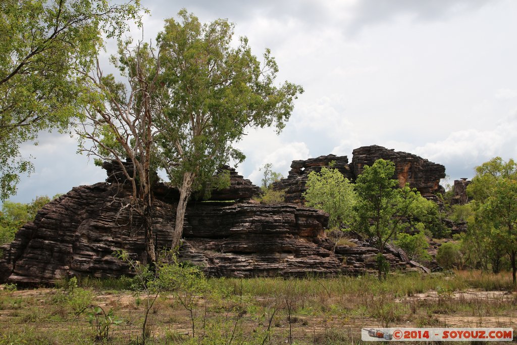 Kakadu National Park - Bardedjilidji walk
Mots-clés: AUS Australie geo:lat=-12.43396820 geo:lon=132.96950520 geotagged Gunbalanya Northern Territory Kakadu National Park patrimoine unesco East Alligator region Bardedjilidji walk