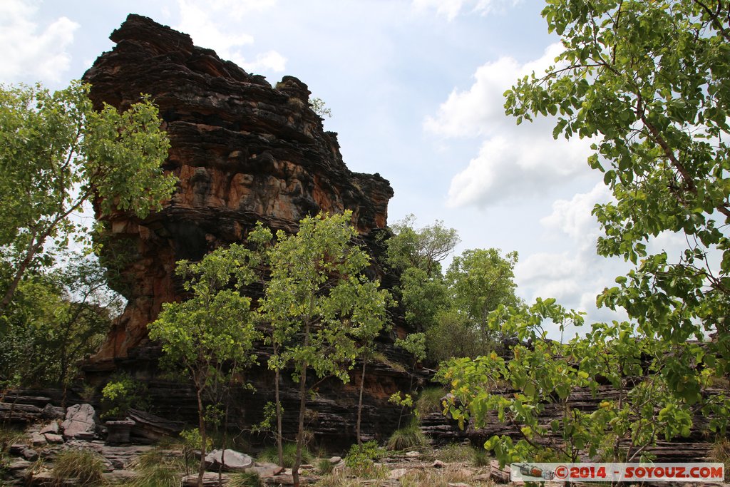 Kakadu National Park - Bardedjilidji walk
Mots-clés: AUS Australie geo:lat=-12.43514200 geo:lon=132.96936075 geotagged Gunbalanya Northern Territory Kakadu National Park patrimoine unesco East Alligator region Bardedjilidji walk