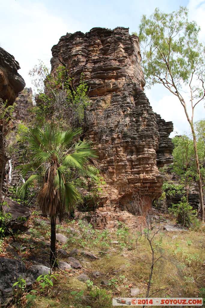 Kakadu National Park - Bardedjilidji walk
Mots-clés: AUS Australie geo:lat=-12.43688243 geo:lon=132.96843043 geotagged Gunbalanya Northern Territory Kakadu National Park patrimoine unesco East Alligator region Bardedjilidji walk