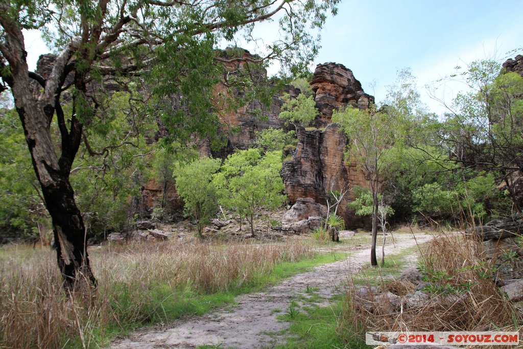 Kakadu National Park - Bardedjilidji walk
Mots-clés: AUS Australie geo:lat=-12.43790425 geo:lon=132.96894235 geotagged Gunbalanya Northern Territory Kakadu National Park patrimoine unesco East Alligator region Bardedjilidji walk