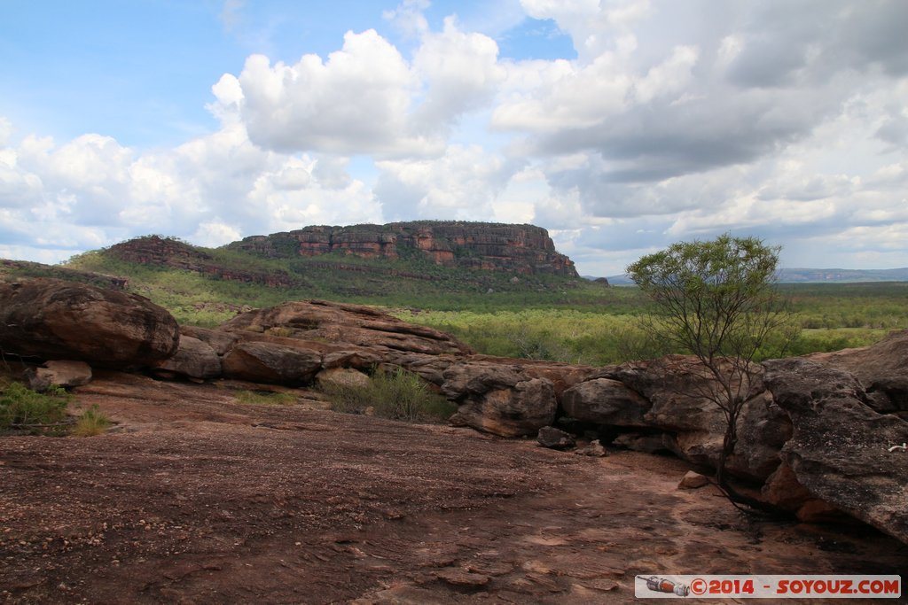 Kakadu National Park - Nawurlandja lookout
Mots-clés: AUS Australie geo:lat=-12.86002300 geo:lon=132.79295980 geotagged Jabiru Northern Territory Kakadu National Park patrimoine unesco Nourlangie Nawurlandja lookout