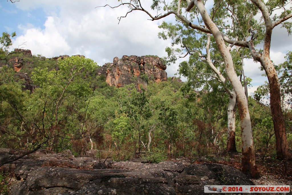 Kakadu National Park - Nourlangie walk - Gunwarddehwarde Lookout
Mots-clés: AUS Australie geo:lat=-12.86447080 geo:lon=132.81601000 geotagged Jabiru Northern Territory Kakadu National Park patrimoine unesco Nourlangie Nourlangie walk Gunwarddehwarde Lookout