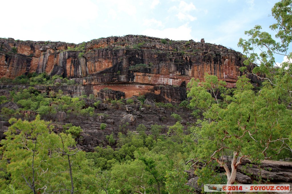 Kakadu National Park - Nourlangie walk - Gunwarddehwarde Lookout
Mots-clés: AUS Australie geo:lat=-12.86481500 geo:lon=132.81595300 geotagged Jabiru Northern Territory Kakadu National Park patrimoine unesco Nourlangie Nourlangie walk Gunwarddehwarde Lookout