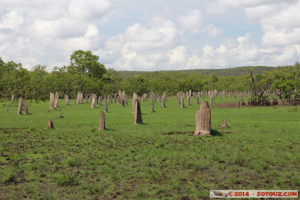 Litchfield National Park - Magnetic Termite Mounds
Mots-clés: AUS Australie geo:lat=-13.10264857 geo:lon=130.84426567 geotagged Northern Territory Litchfield National Park Magnetic Termite Mounds