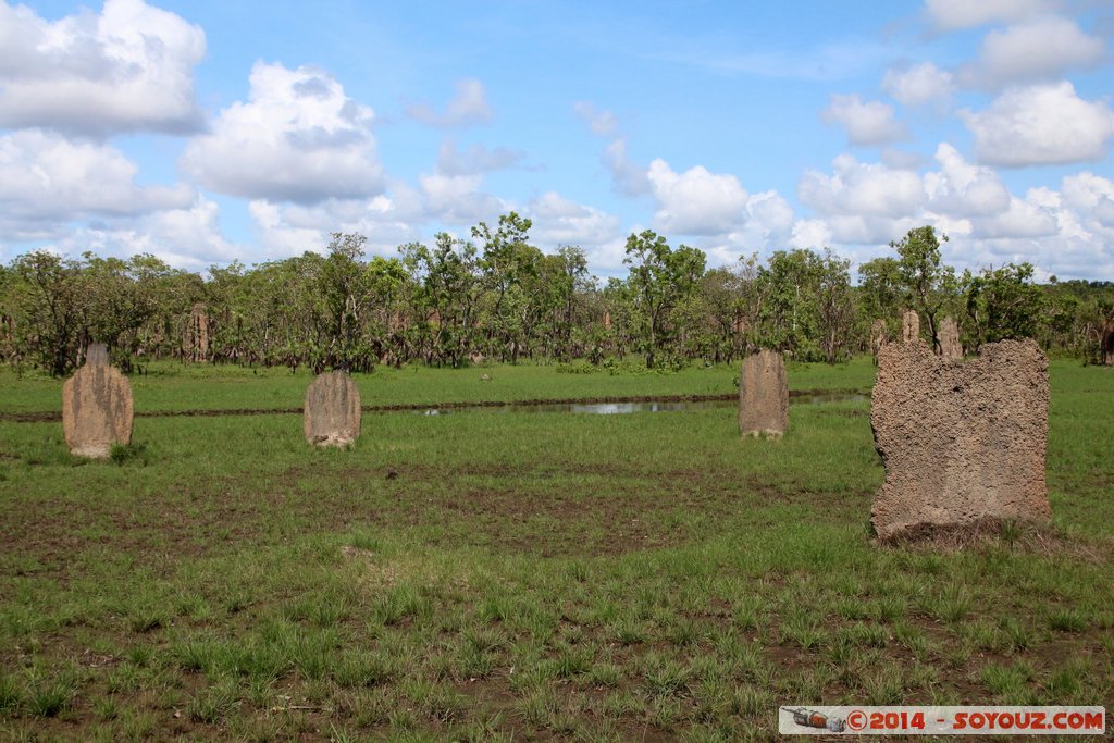 Litchfield National Park - Magnetic Termite Mounds
Mots-clés: AUS Australie geo:lat=-13.10263050 geo:lon=130.84432525 geotagged Northern Territory Litchfield National Park Magnetic Termite Mounds