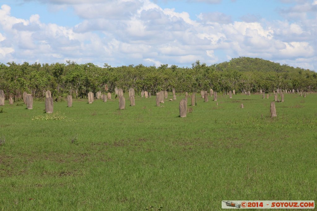 Litchfield National Park - Magnetic Termite Mounds
Mots-clés: AUS Australie geo:lat=-13.10262573 geo:lon=130.84433197 geotagged Northern Territory Litchfield National Park Magnetic Termite Mounds