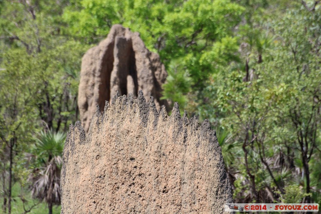 Litchfield National Park - Magnetic Termite Mounds
Mots-clés: AUS Australie geo:lat=-13.10264467 geo:lon=130.84443533 geotagged Northern Territory Litchfield National Park Magnetic Termite Mounds