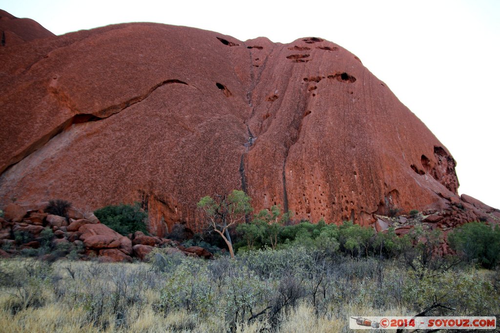 Ayers Rock / Uluru - Lungkata Walk
Mots-clés: AUS Australie Ayers Rock geo:lat=-25.34830880 geo:lon=131.02266900 geotagged Northern Territory Uluru - Kata Tjuta National Park patrimoine unesco uluru Ayers rock Lungkata Walk animiste