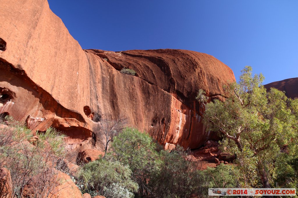 Ayers Rock / Uluru - Kuniya Walk
Mots-clés: AUS Australie Ayers Rock geo:lat=-25.35371033 geo:lon=131.03191050 geotagged Northern Territory Uluru - Kata Tjuta National Park patrimoine unesco uluru Ayers rock Kuniya Walk animiste