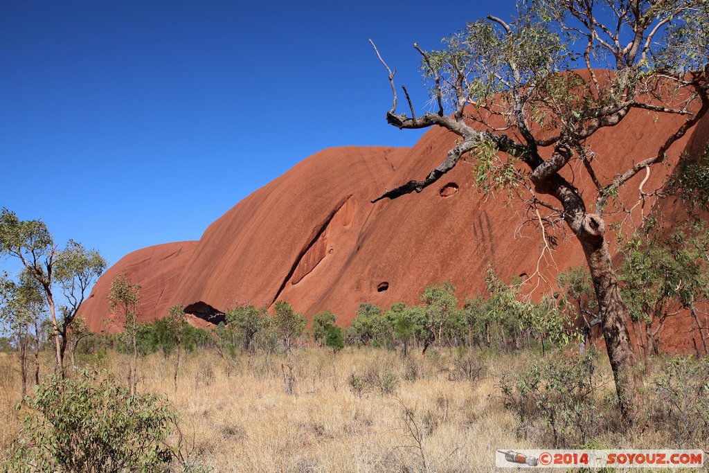 Ayers Rock / Uluru - Base Walk
Mots-clés: AUS Australie Ayers Rock geo:lat=-25.34988180 geo:lon=131.04861080 geotagged Northern Territory Uluru - Kata Tjuta National Park patrimoine unesco uluru Ayers rock Base Walk animiste