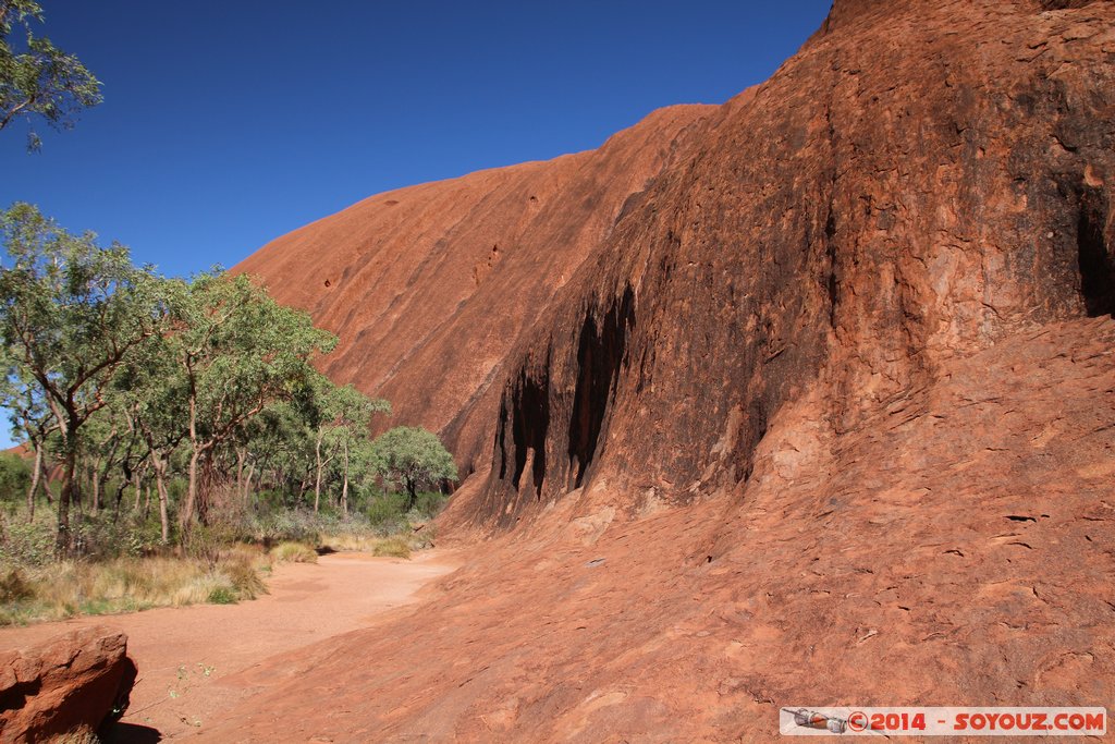 Ayers Rock / Uluru - Base Walk
Mots-clés: AUS Australie Ayers Rock geo:lat=-25.34886080 geo:lon=131.05176020 geotagged Northern Territory Uluru - Kata Tjuta National Park patrimoine unesco uluru Ayers rock Base Walk animiste