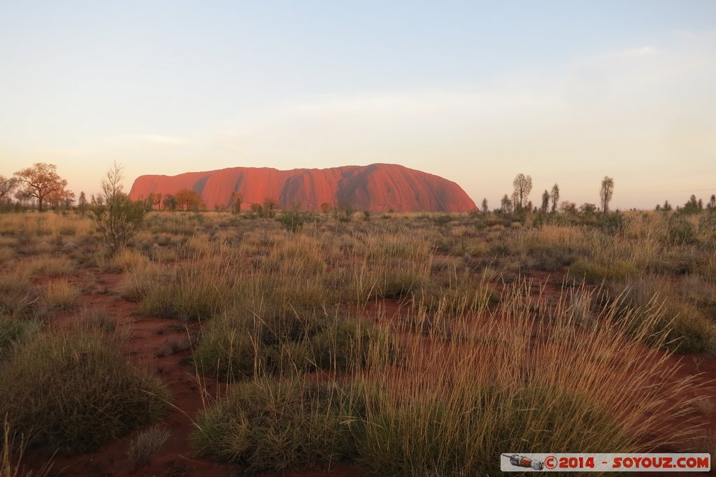 Ayers Rock / Uluru - Sunrise
Mots-clés: AUS Australie Ayers Rock geo:lat=-25.36894000 geo:lon=131.06290300 geotagged Northern Territory Uluru - Kata Tjuta National Park patrimoine unesco uluru Ayers rock sunset animiste