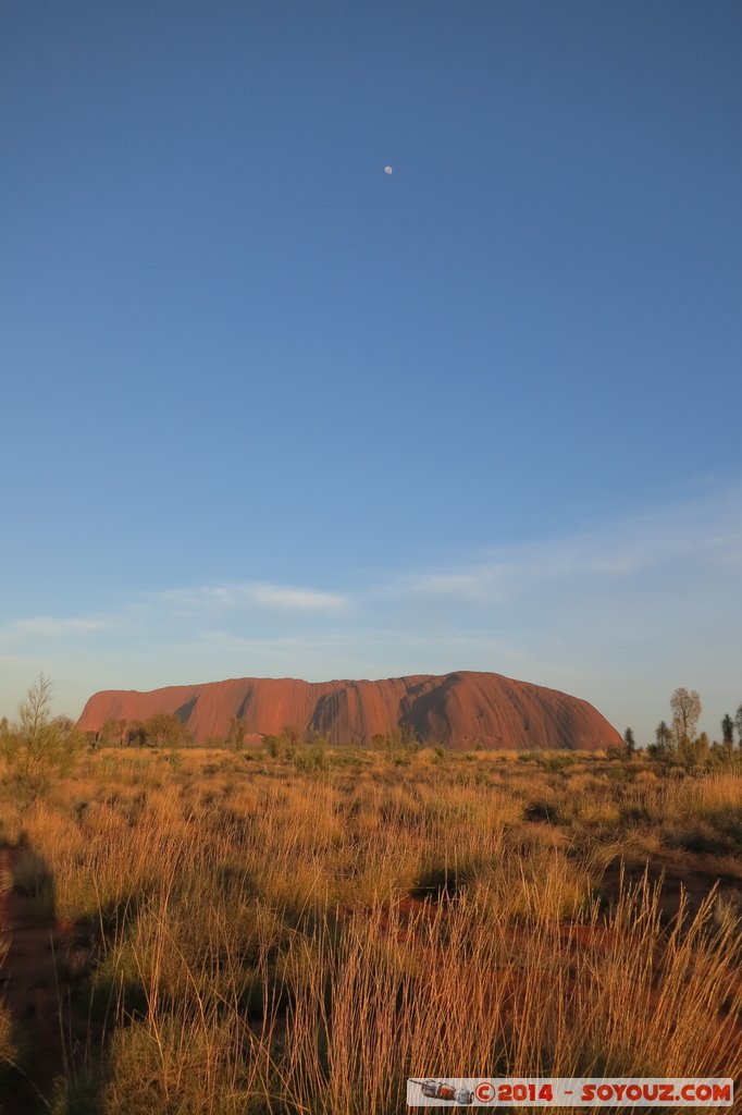 Ayers Rock / Uluru and Moon - Sunrise
Mots-clés: AUS Australie Ayers Rock geo:lat=-25.36886558 geo:lon=131.06281785 geotagged Northern Territory Uluru - Kata Tjuta National Park patrimoine unesco uluru Ayers rock sunset Lune animiste