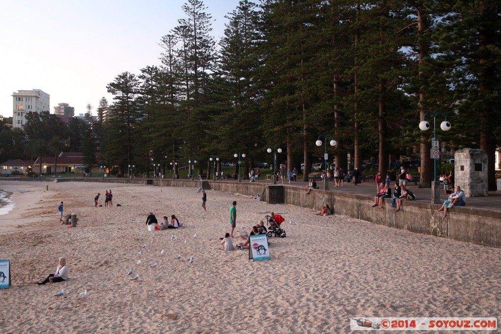 Manly - Wharf
Mots-clés: AUS Australie geo:lat=-33.79932383 geo:lon=151.28382740 geotagged Manly New South Wales Manly Wharf plage