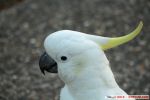 IMG_7710.jpg