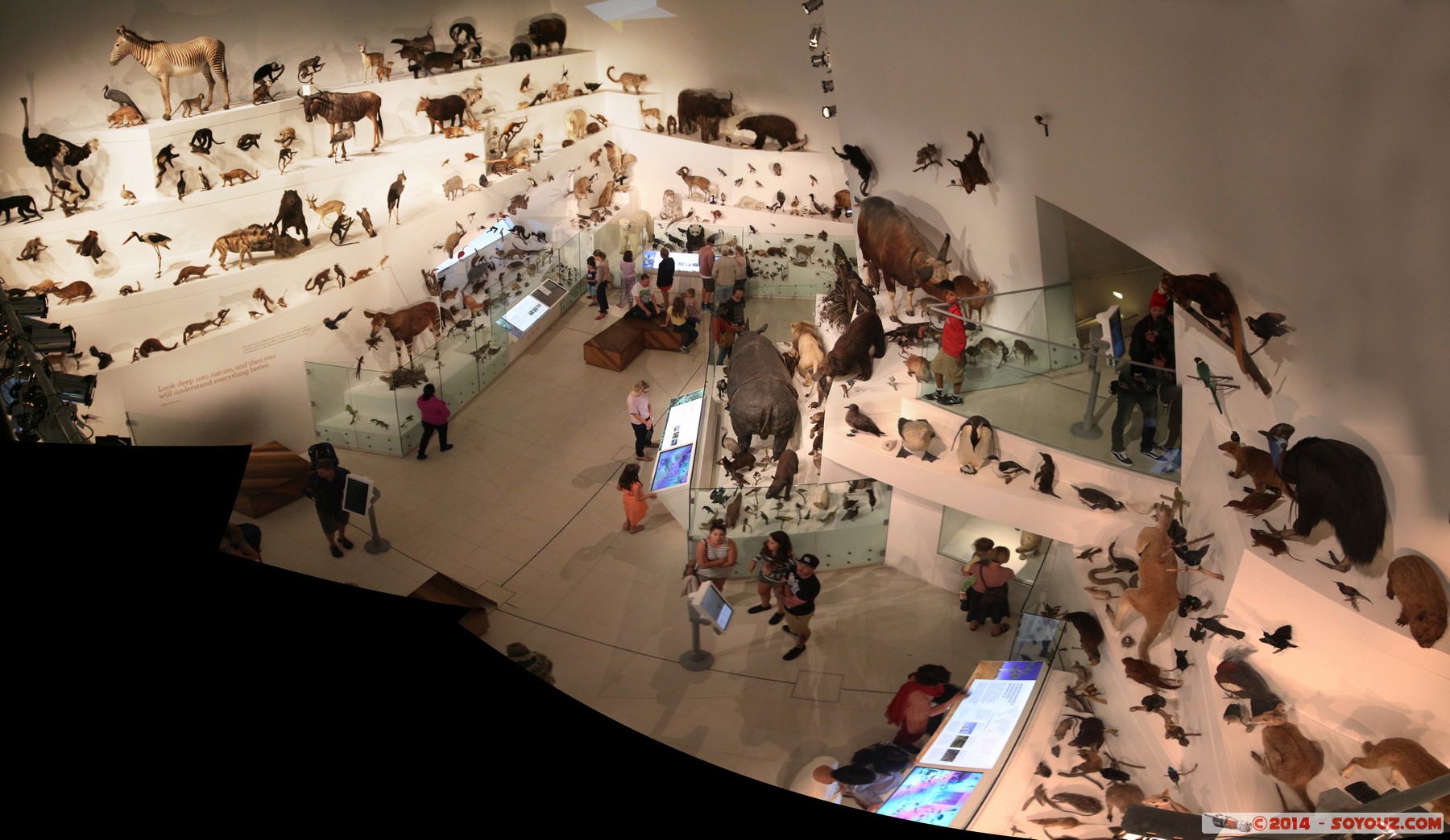 Melbourne Museum - Gallery
Stitched Panorama
Mots-clés: AUS Australie Carlton geo:lat=-37.80336000 geo:lon=144.97293800 geotagged Victoria Melbourne Museum animals