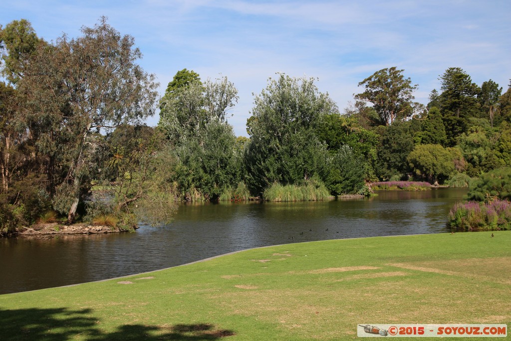 Melbourne - Royal Botanic Gardens
Mots-clés: AUS Australie geo:lat=-37.82885480 geo:lon=144.97955900 geotagged South Yarra Victoria Royal Botanic Gardens