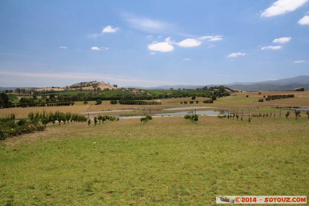Yarra Valley - Yarra Glen
Mots-clés: AUS Australie Christmas Hills geo:lat=-37.64401771 geo:lon=145.40018499 geotagged Victoria Yarra Glen vignes