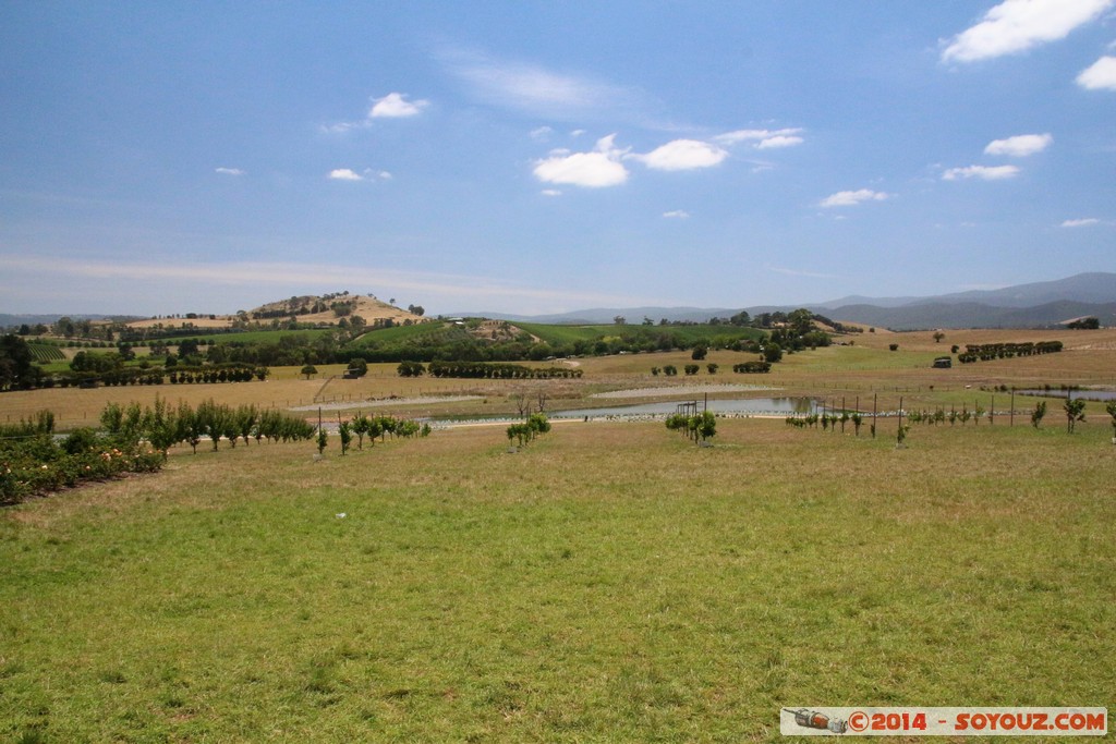 Yarra Valley - Yarra Glen
Mots-clés: AUS Australie Christmas Hills geo:lat=-37.64401771 geo:lon=145.40018499 geotagged Victoria Yarra Glen vignes