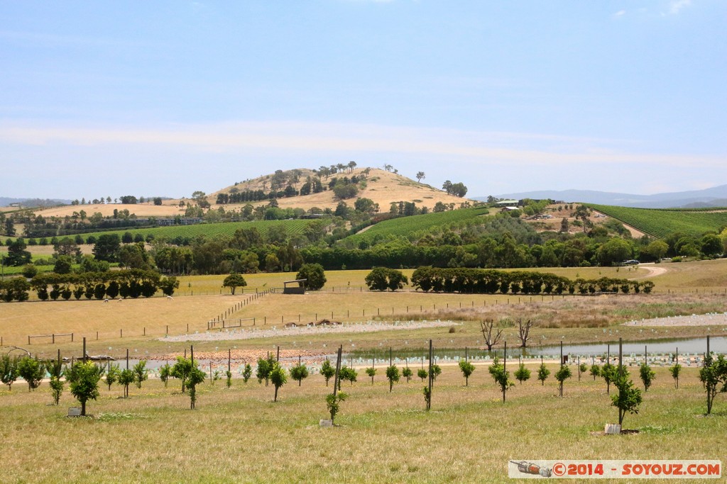 Yarra Valley - Yarra Glen
Mots-clés: AUS Australie Christmas Hills geo:lat=-37.64401771 geo:lon=145.40018499 geotagged Victoria Yarra Glen vignes