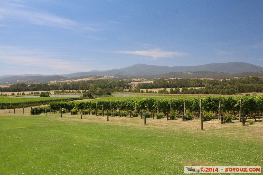 Yarra Valley - Domaine Chandon
Mots-clés: AUS Australie geo:lat=-37.68045733 geo:lon=145.43102933 geotagged Tarrawarra Victoria Yeringberg vignes