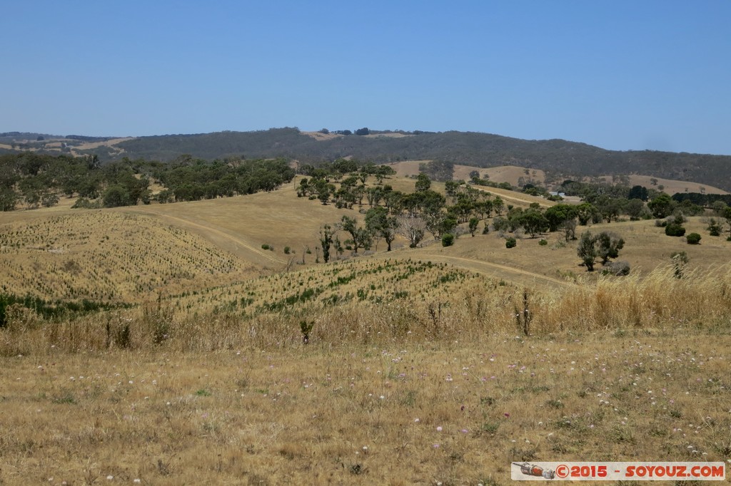 Myponga
Mots-clés: AUS Australie geo:lat=-35.40686807 geo:lon=138.40866238 geotagged Myponga Beach South Australia Wattle Flat Fleurieu Peninsula