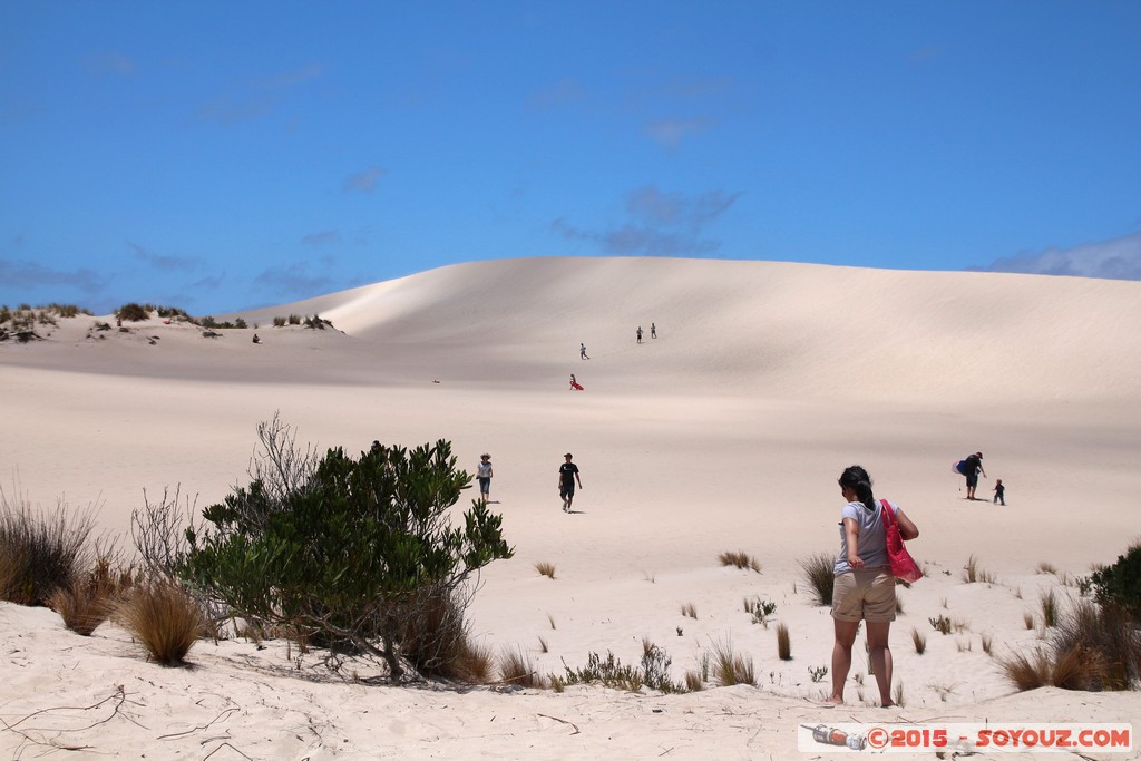 Kangaroo Island - Little Sahara
Mots-clés: AUS Australie geo:lat=-35.95040222 geo:lon=137.24412391 geotagged Seddon South Australia Kangaroo Island Little Sahara